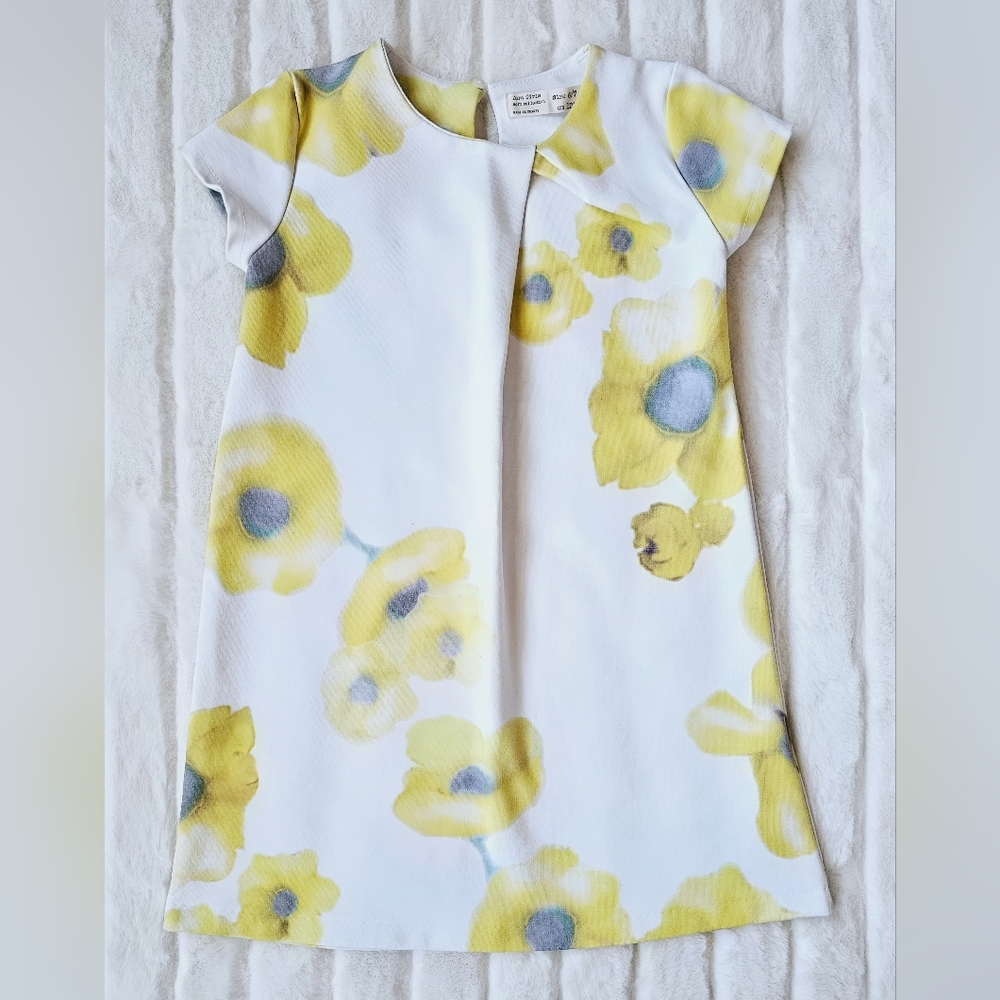 Zara dress